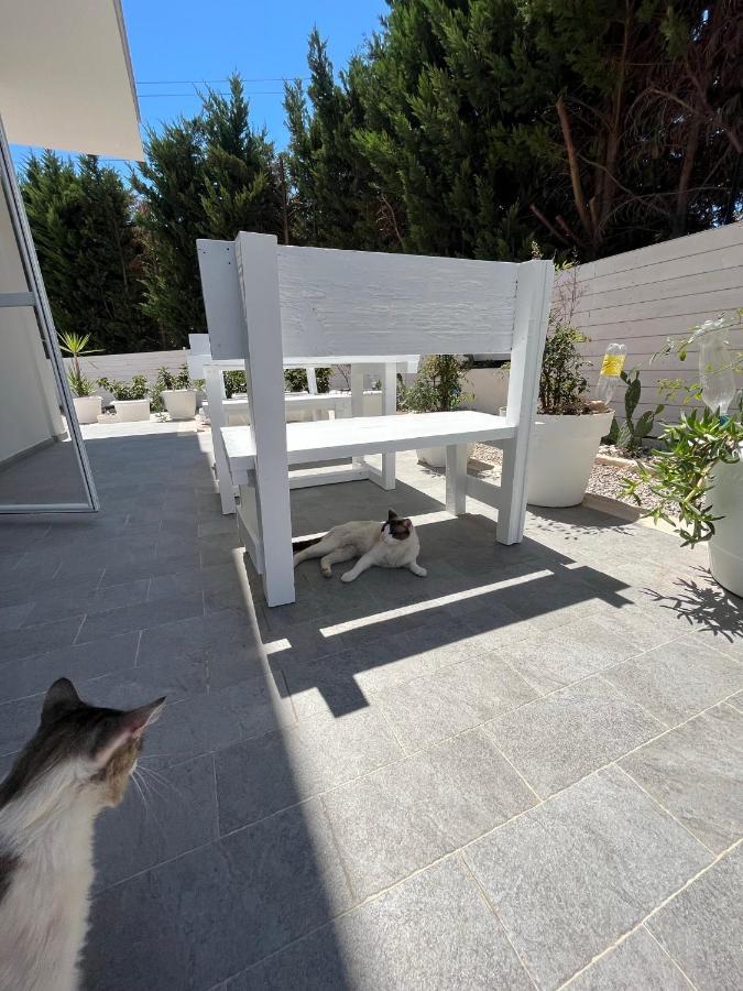 לינה וארוחת בוקר לצ'ה La Casa Di Nina מראה חיצוני תמונה