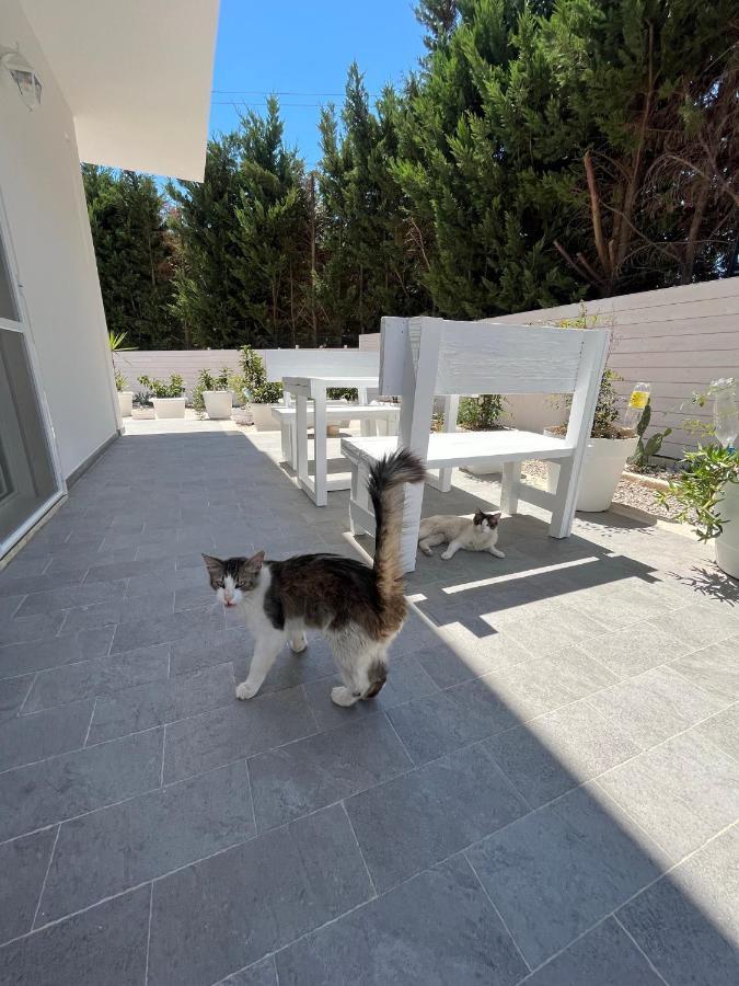 לינה וארוחת בוקר לצ'ה La Casa Di Nina מראה חיצוני תמונה