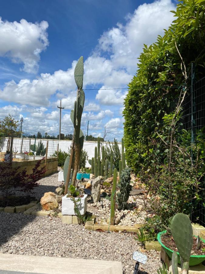 לינה וארוחת בוקר לצ'ה La Casa Di Nina מראה חיצוני תמונה