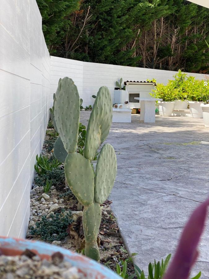 לינה וארוחת בוקר לצ'ה La Casa Di Nina מראה חיצוני תמונה