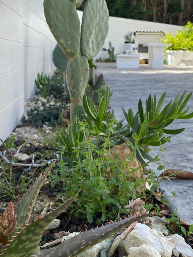 לינה וארוחת בוקר לצ'ה La Casa Di Nina מראה חיצוני תמונה