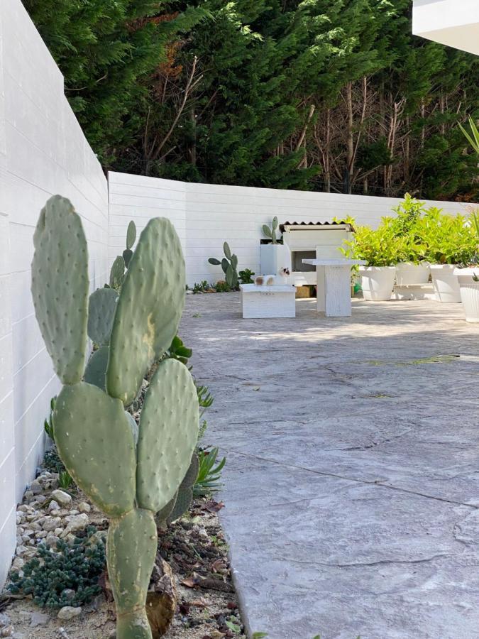 לינה וארוחת בוקר לצ'ה La Casa Di Nina מראה חיצוני תמונה