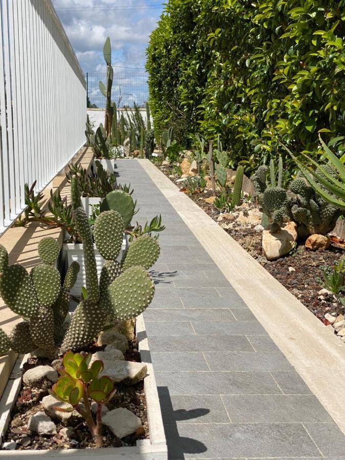 לינה וארוחת בוקר לצ'ה La Casa Di Nina מראה חיצוני תמונה